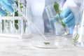 Scientist dripping liquid on plant in Petri dish at table