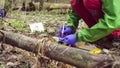 Scientist ecologist in the forest taking samples of plants Royalty Free Stock Photo