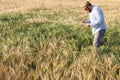 The scientist examines the cereal plants in the field and writes in a notebook