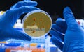 Scientist examines dengue virus on petri dish in laboratory
