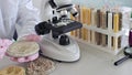 A scientist examines grains and seeds of millet rice using a microscope in a laboratory setting, with various test tube concept Royalty Free Stock Photo
