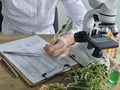 Scientist examines plant samples using a microscope in a research lab Royalty Free Stock Photo