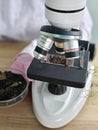 Scientist examines soil sample using microscope in laboratory Royalty Free Stock Photo