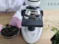 Scientist examines soil sample using microscope in laboratory Royalty Free Stock Photo