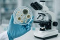 Scientist holding petri dish with mold cultures in lab Royalty Free Stock Photo
