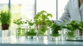 Scientist examining a plants in greenhouse farm. scientists holding equipment for research plant in organic farm