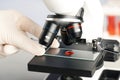 Scientist examining sample of red liquid on slide under microscope in laboratory, closeup Royalty Free Stock Photo