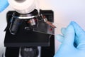Scientist examining sample on slide under microscope, closeup Royalty Free Stock Photo