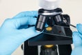 Scientist examining sample on slide under microscope, closeup Royalty Free Stock Photo