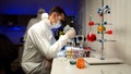 Scientist examining samples with microscope