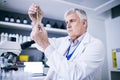 Scientist, experiment and man with syringe in laboratory, research or development of medical science. Elderly biologist Royalty Free Stock Photo