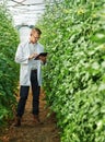 Scientist, farm and digital tablet for research with plants or ecology for agro and agriculture. Expert, science and