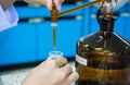 Scientist fill chemical into erlenmeyer flask Royalty Free Stock Photo