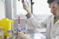 Scientist Filling Test Tube With Hitech Pipette Royalty Free Stock Photo