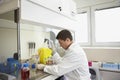 Scientist Filling Test Tube With Hitech Pipette Royalty Free Stock Photo