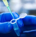 Scientist filling test tube science lab Royalty Free Stock Photo