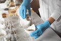 Scientist filtering soil samples at table. Laboratory analysis Royalty Free Stock Photo