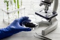 Scientist in gloves doing test with plants and microscope in biological lab
