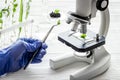 Scientist in gloves doing test with plants and microscope in biological lab