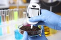 Scientist with gloves measures soil readings in test tube