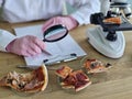 A scientist in gloves studies pizza samples using a microscope in a lab Royalty Free Stock Photo