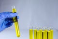 Scientist hand in a blue glove holds a test tube Royalty Free Stock Photo