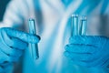 Scientist hand hold test tubes filled with blue sample chemicals in chemistry science laboratory. Glassware in medical research. Royalty Free Stock Photo