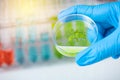 Scientist hand holding petri dish with plant leaf on testtube in lab background. biotechnology research concept