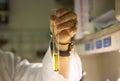 Scientist hand holding a test tube Royalty Free Stock Photo