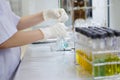 Scientist hand titration at laboratory, titrate chemical, titration with burette and erlenmeyer flask. erlenmeyer flask and test t Royalty Free Stock Photo