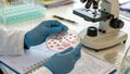 scientist hands hold petri dish filled with cultured samples, showcasing various growth patterns. laboratory setting includes