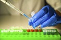 Scientist health care professional working with Corona virus patient samples in a molecular biology laboratory wearing gloves as