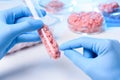 Scientist hold meat in lab test tube and point on one sample