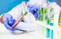 Scientist hold test tube with plant inside in laboratory. Royalty Free Stock Photo