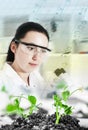 Scientist holding and examining samples plants Royalty Free Stock Photo