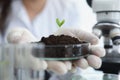 Scientist holding petri dish with earth and green plant sprout in his hands in laboratory closeup