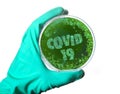 A petri dish with germs in the shape of the word COVID-19. series