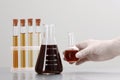 Scientist holding round bottom flask with brown liquid near laboratory glassware on light background, closeup Royalty Free Stock Photo