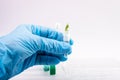 Scientist holding samples of plants Royalty Free Stock Photo