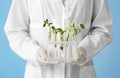 Scientist holding test tubes with plants in stand on color background Royalty Free Stock Photo