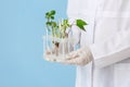 Scientist holding test tubes with plants in stand on color background Royalty Free Stock Photo