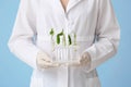 Scientist holding test tubes with plants in stand on color background Royalty Free Stock Photo