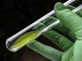 Scientist holds a test tube with a green leaf inside Royalty Free Stock Photo