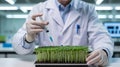 Scientist Injecting Plants in Laboratory Royalty Free Stock Photo