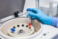 Scientist inserting a tube in a laboratory centrifuge Royalty Free Stock Photo