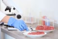 Scientist inspecting meat at table in laboratory, closeup. Food quality control