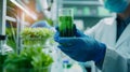 A scientist in a lab coat holding a beaker of vibrant green microalgae solution. This sustainable biofuel source is Royalty Free Stock Photo