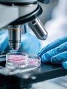 Microscope Observation of Cell Cultures in a Laboratory Setting, Showcasing Scientific Analysis With Precise Equipment Royalty Free Stock Photo
