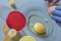 Scientist at laboratory investigates the crisis caused by the fraud of the contaminated eggs with fipronil