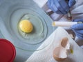 Scientist at laboratory investigates the crisis caused by the fraud of the contaminated eggs with fipronil